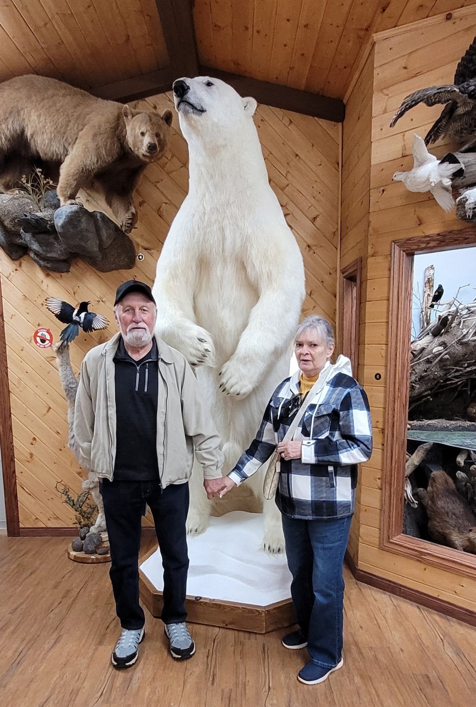 The couple holding hands beside a mounted polar bear at a wildlife gallery