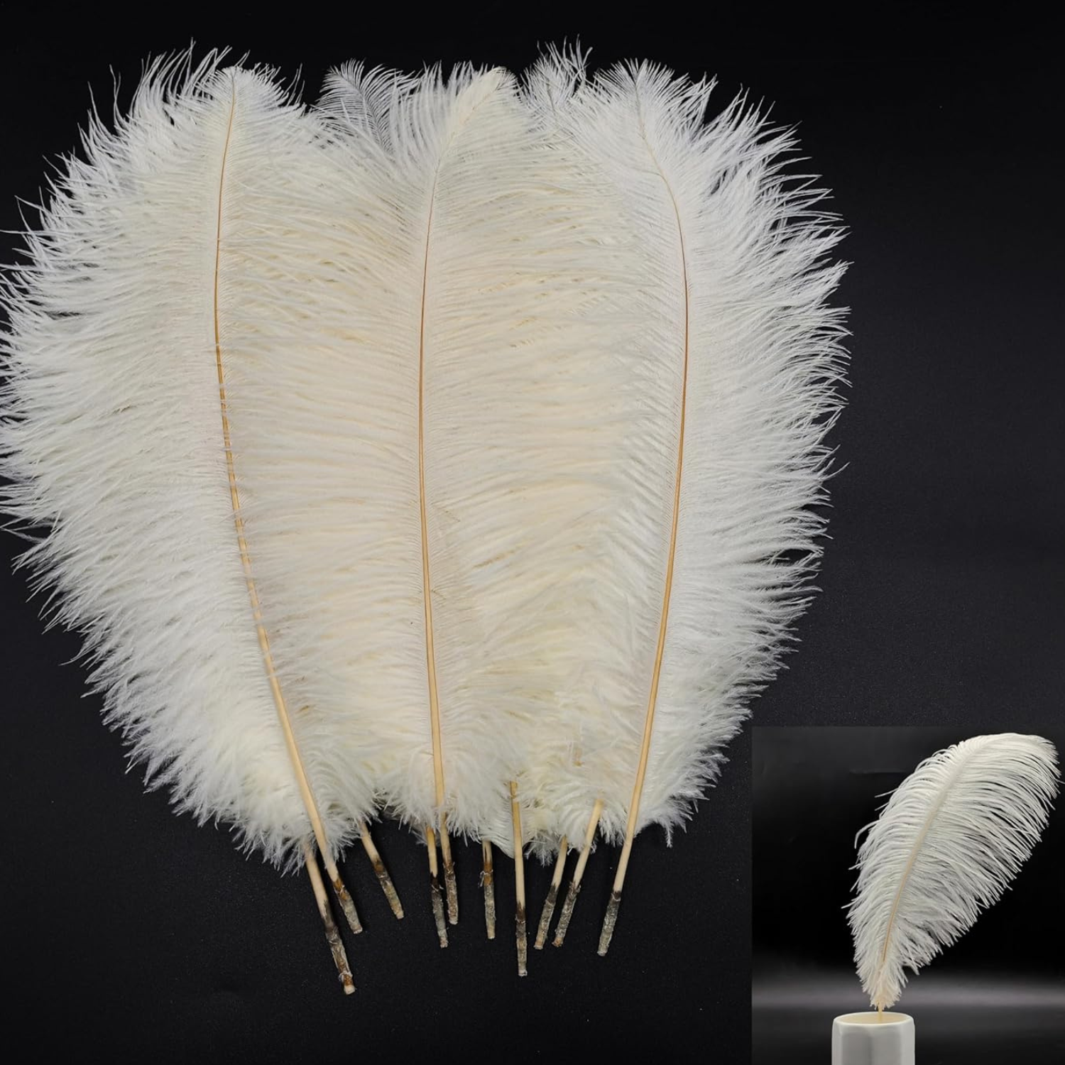 cream large feather plumes bulk