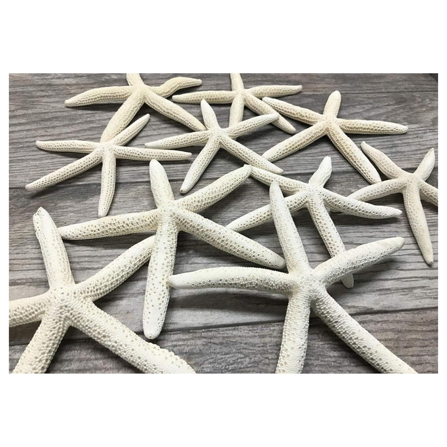 large white starfish bulk