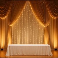Stage Lighting Wedding Decor Plain